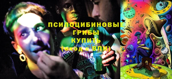 не бодяженный Алексин