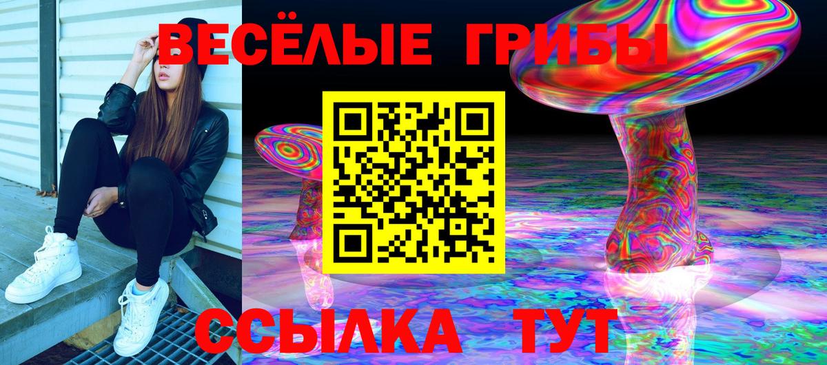 Галлюциногенные грибы GOLDEN TEACHER Похвистнево
